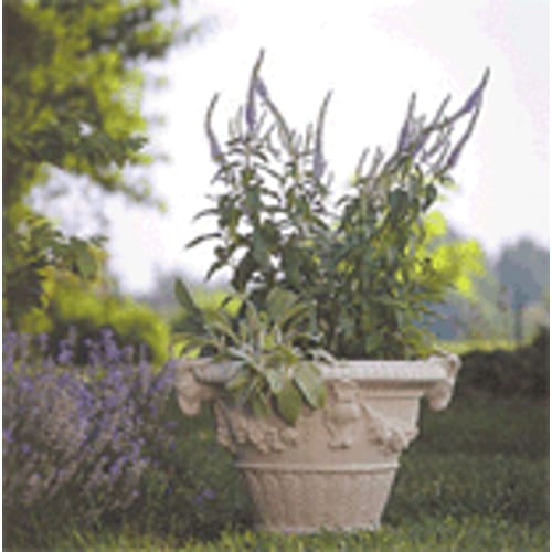 Birmingham Planter preview 2